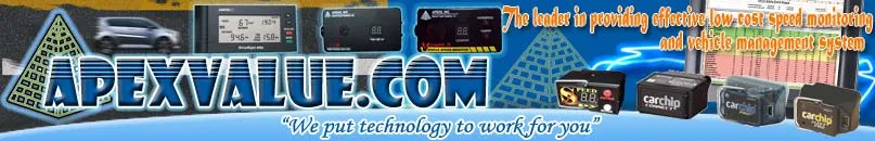 apexvalue banner year 2000 company profile