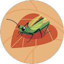 gwapita profile picture